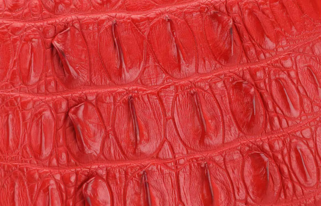 Crocodile Leather Purse in Three Colors – Handmade in Italy | Noiyan