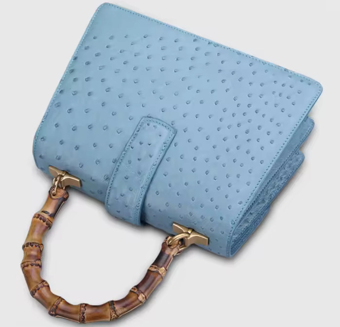 Ostrich leather bag