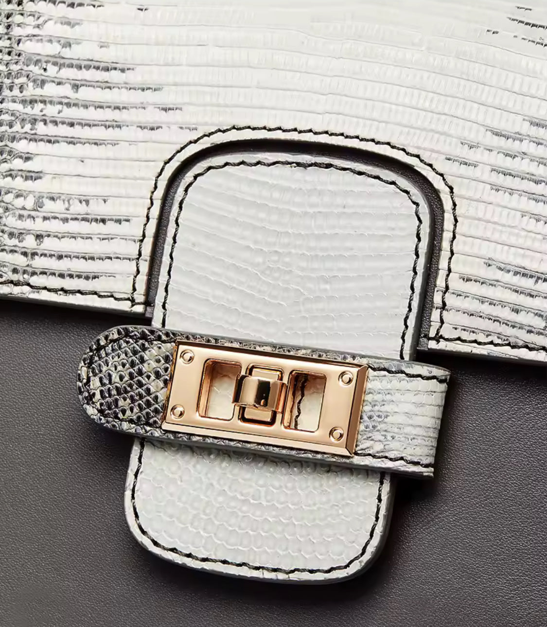 Lizard leather bag