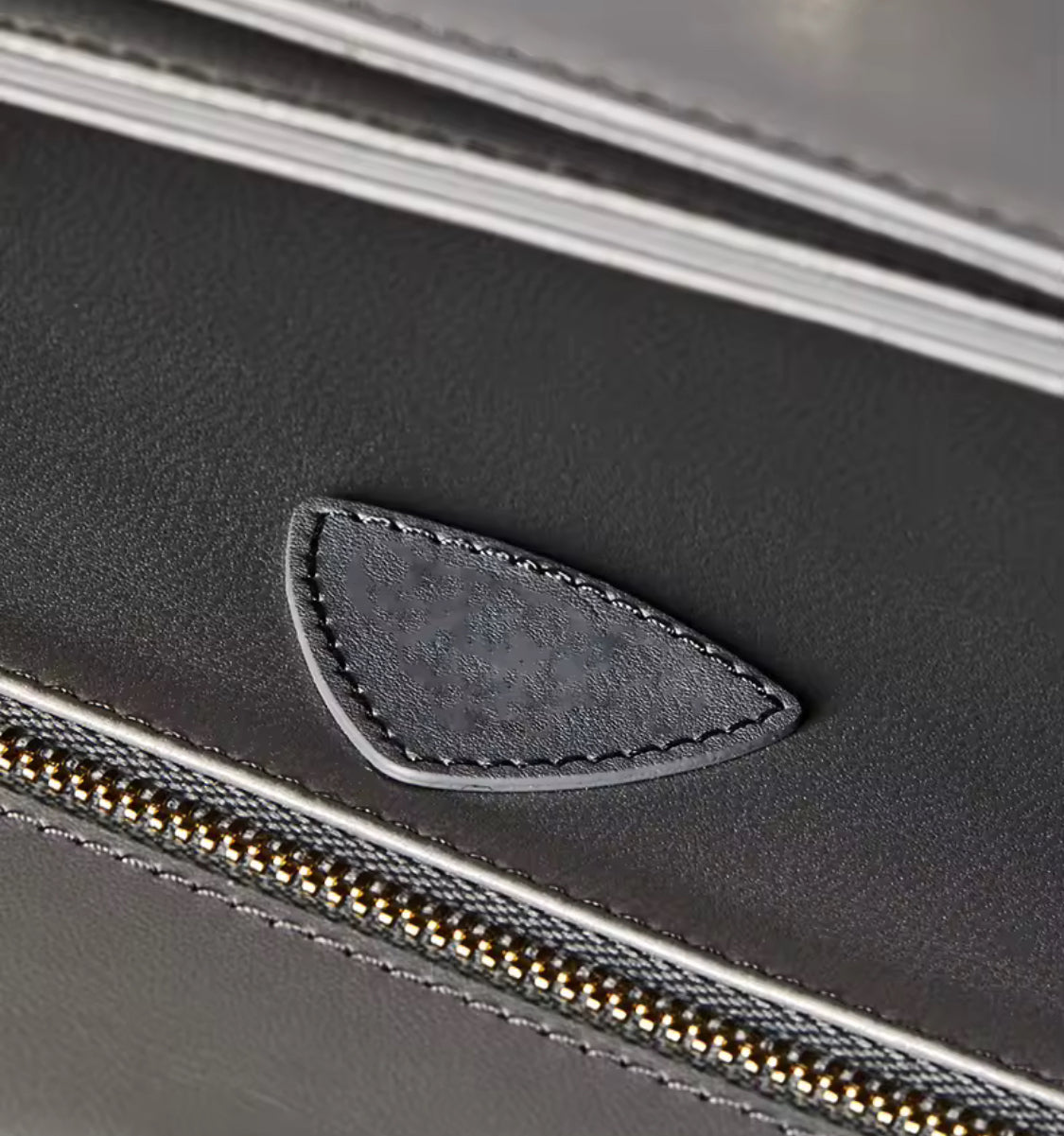 Lizard leather bag